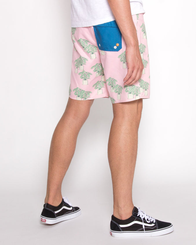 Houseplant Trunk - Color: Pink | Pink