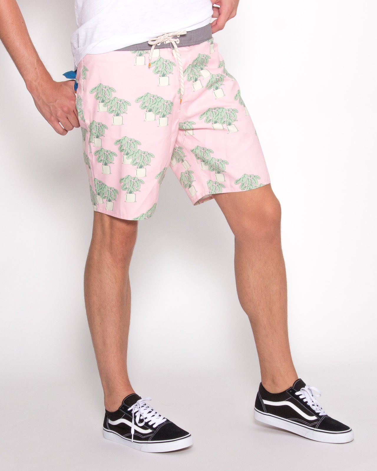 Houseplant Trunk - Color: Pink | Pink