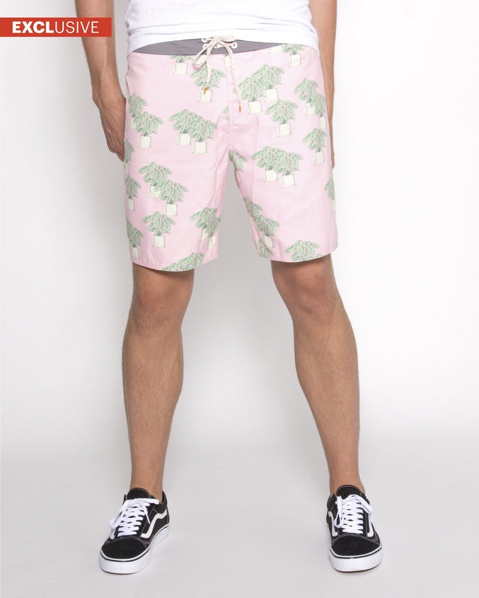 Houseplant Trunk - Color: Pink | Pink