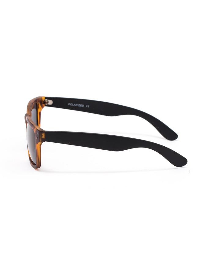 The 1205 Sunglasses - Color: Tortoise | Multi