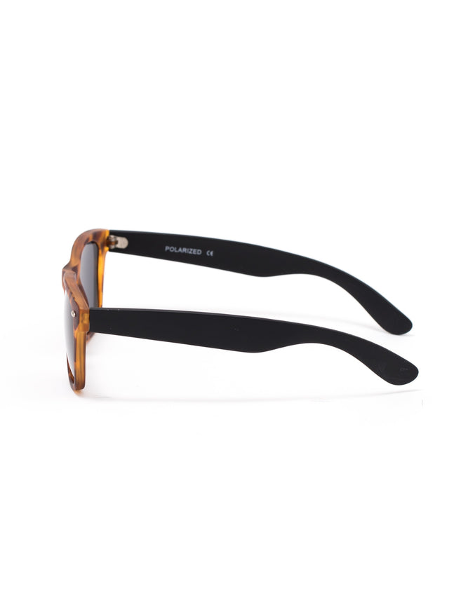 The 3249 Sunglasses - Color: Tortoise | Multi
