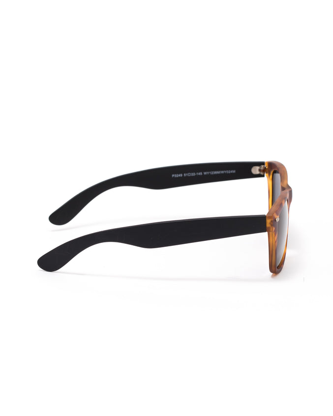 The 3249 Sunglasses - Color: Tortoise | Multi